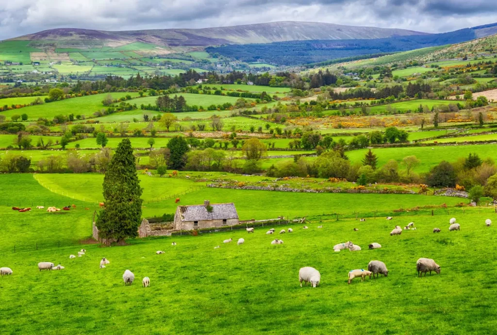 Irlandia Północna